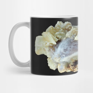 Small common human kidney stone Mug